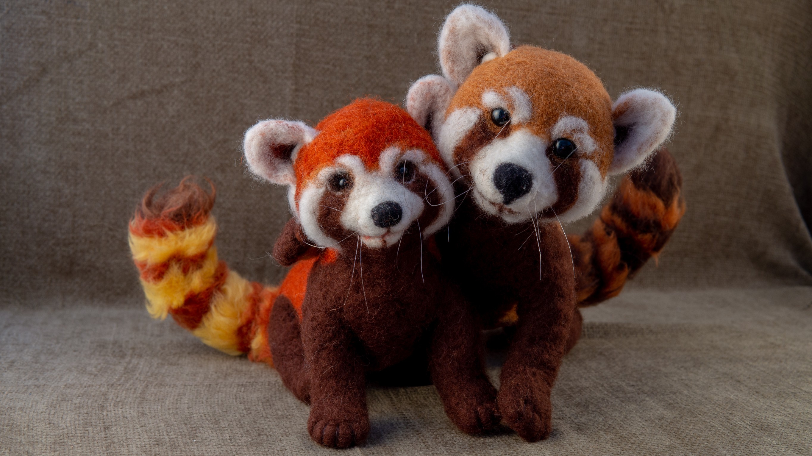 The Red Pandas