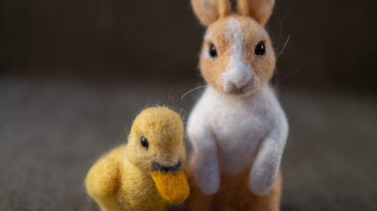 The Bunny and Duckling