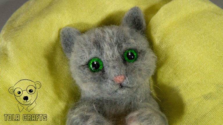 Green eyed kitten
